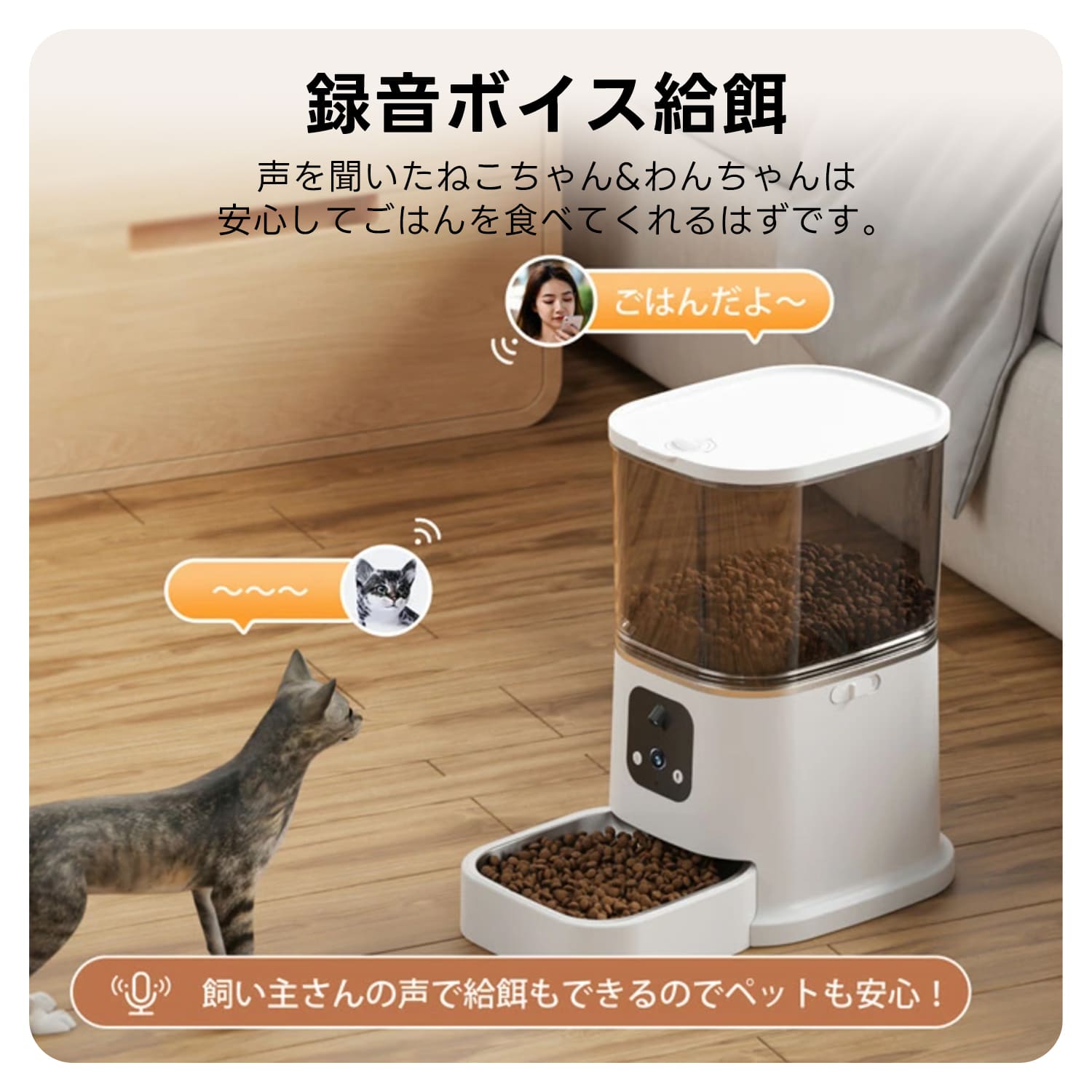 双カメラ付き自動給餌器｜スマホでごはん&見守り｜音声会話で愛犬・愛