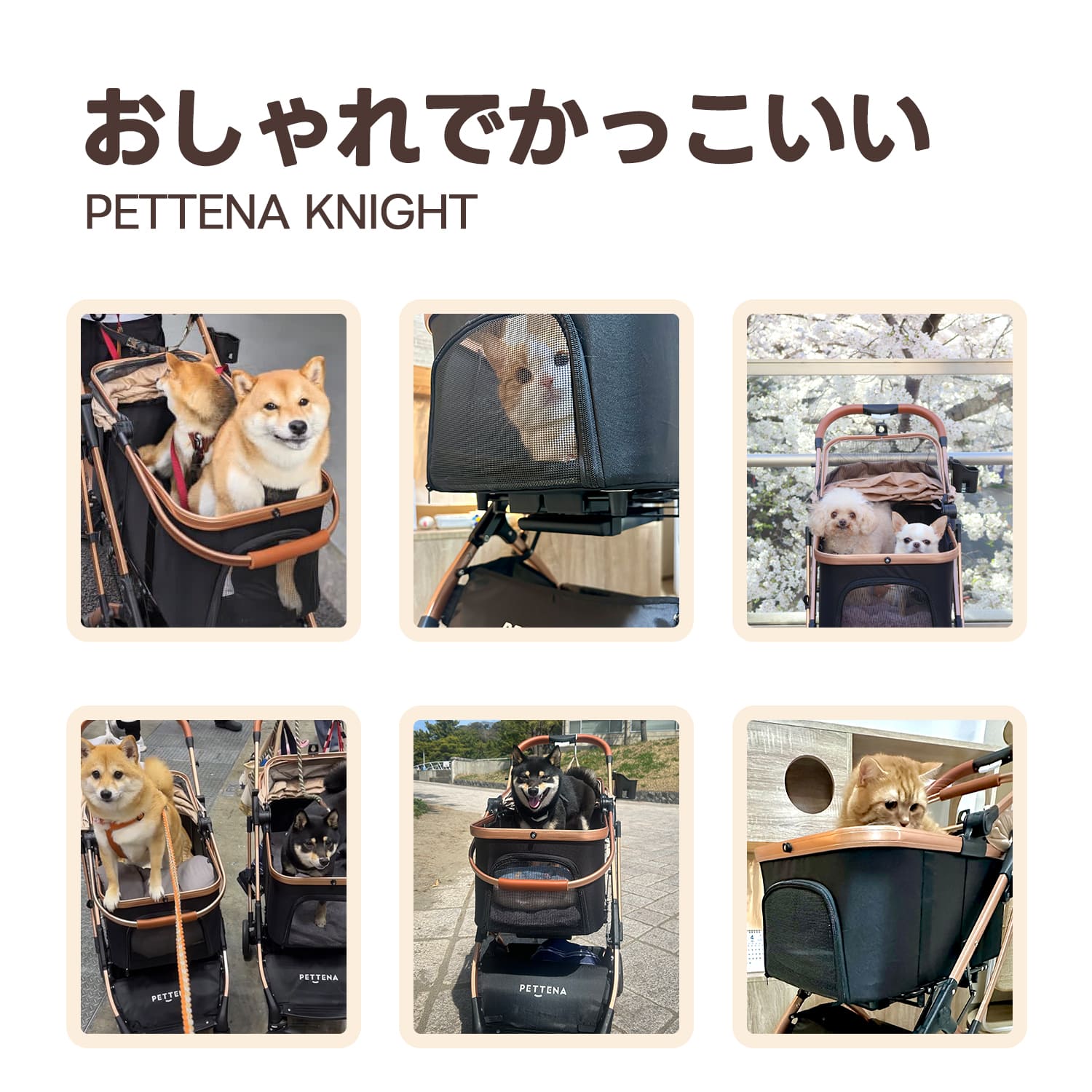 KNIGHT - キャリーコット