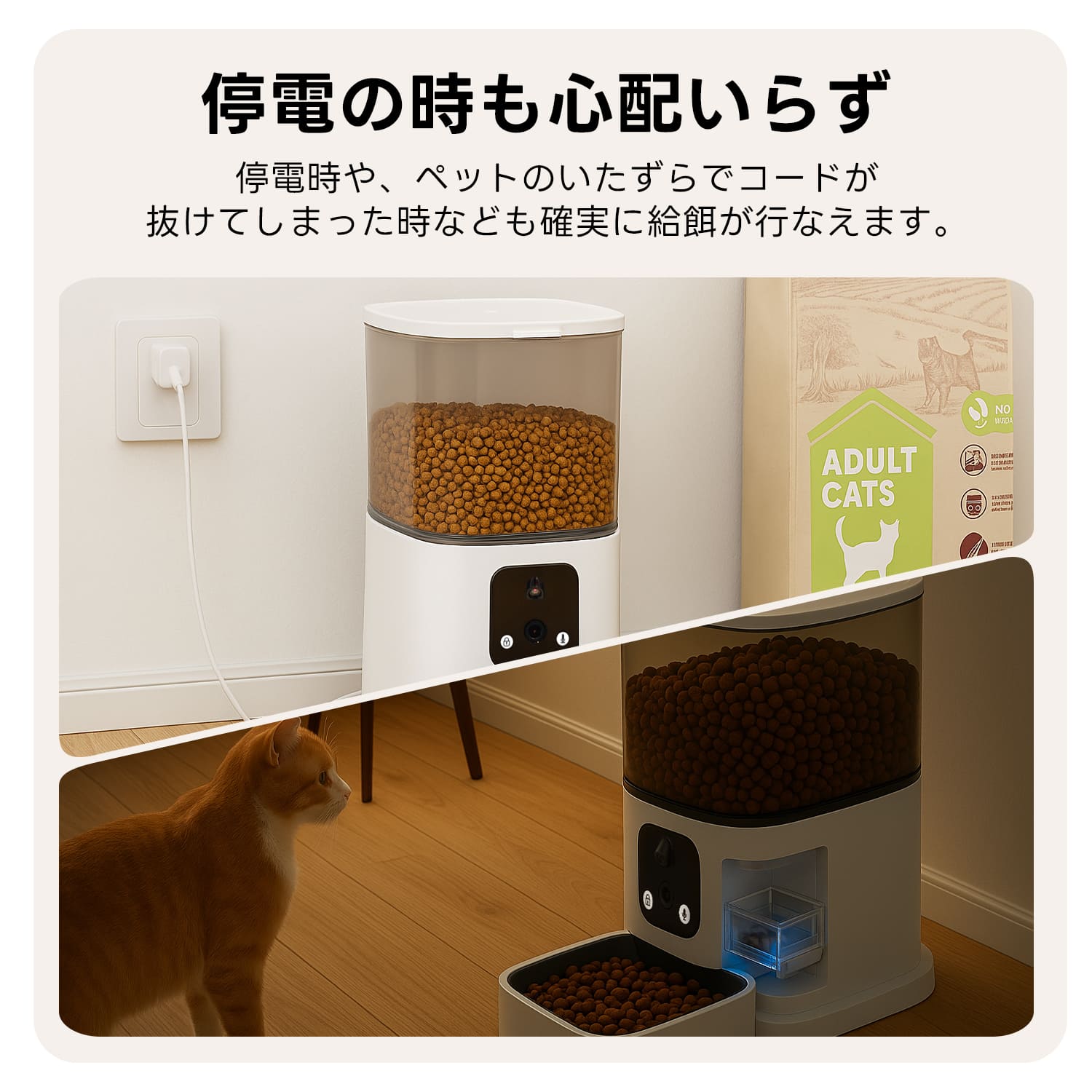 PETTENA Select 双カメラ自動給餌器