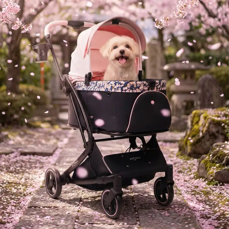 最上級型番 - PETTENA MILOU