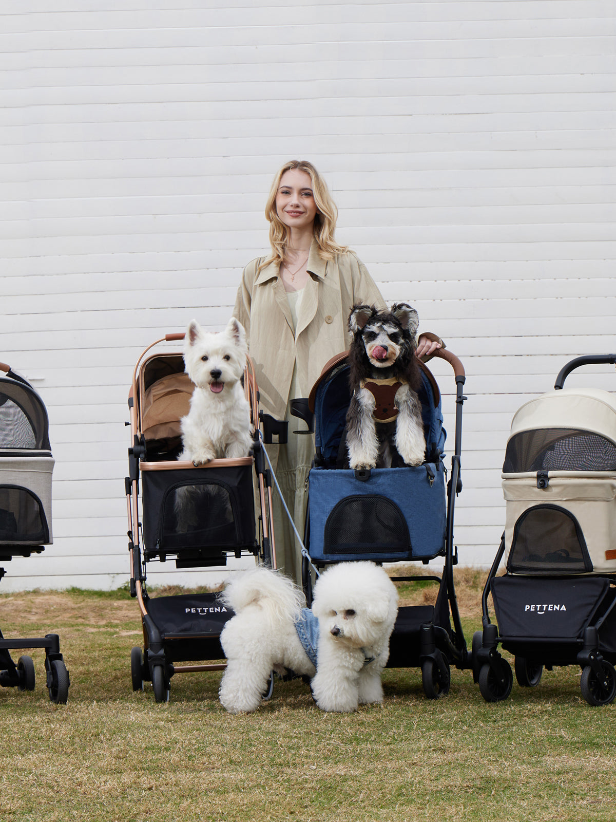 PETTENAペットカートのこだわり｜愛犬・愛猫と快適に移動する高