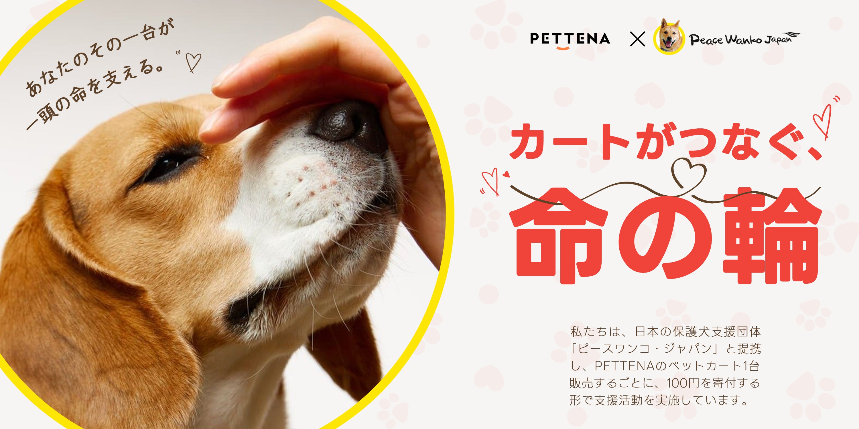 PETTENAによる保護犬支援団体への寄付イベントの画像