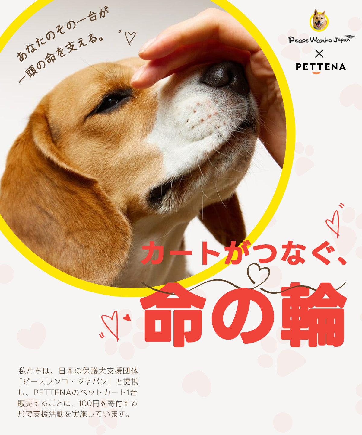 PETTENAによる保護犬支援団体への寄付イベントの画像