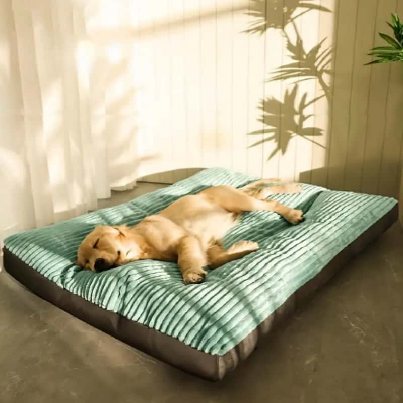 PETTENA Select 厚手キングサイズペットベッド