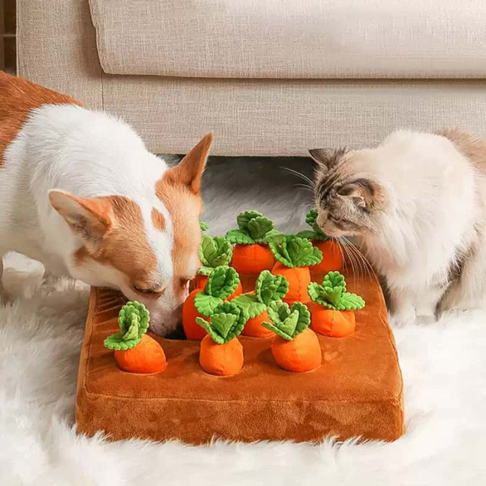 犬用おもちゃ
