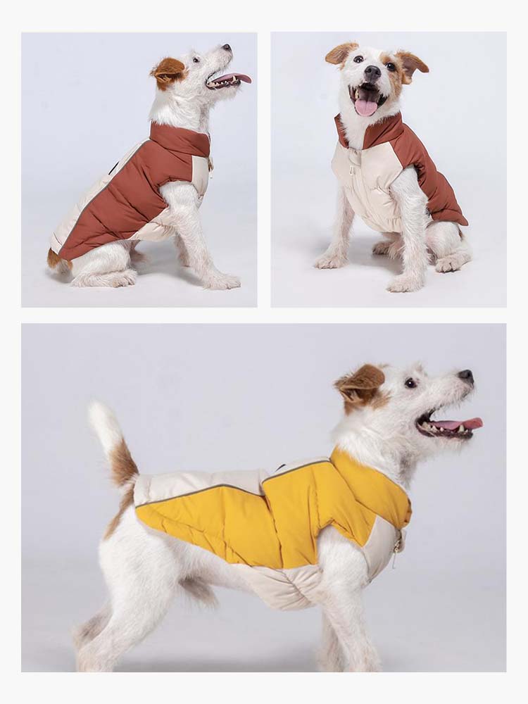 キャラメルとイエローの華やかなカラーバリエーションを展開する、犬用の中綿ダウンジャケット。横や正面からのシルエットを紹介しており、どの角度から见ても美しく、反射材ラインが夜間の散歩でも高い安全性を確保します。