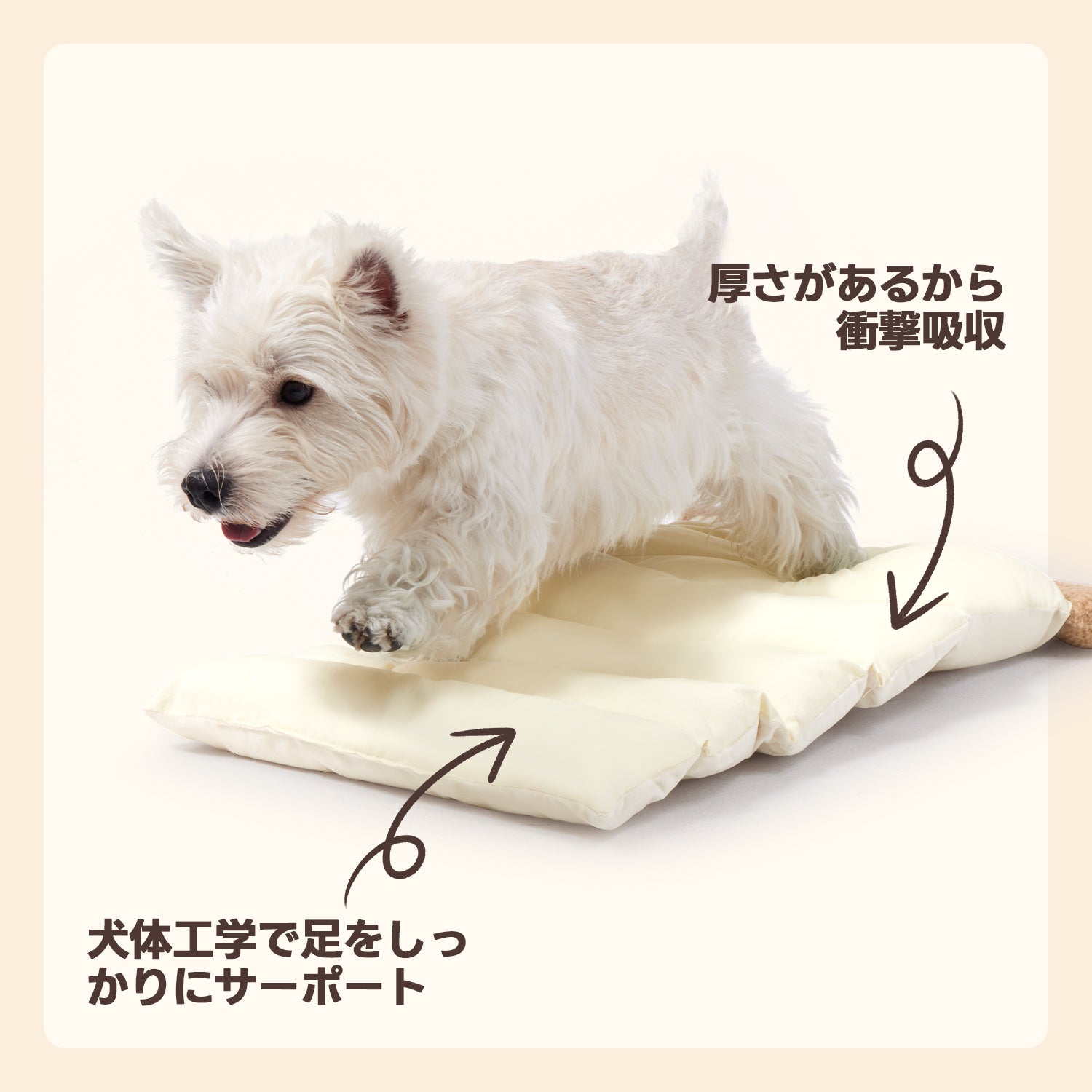 厚みで衝撃吸収、犬体工学設計で足元をしっかりサポート。愛犬の移動中の負担軽減、外出時も快適で安心な高機能クッションです！
