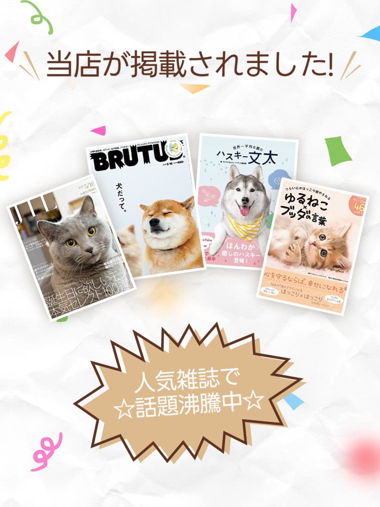 ペット用品　犬用ペットカート　中小型犬 猫用　折りたたみ Amazon.co.jp: Lukang ペットカート 折り畳み式 ペットカート 小型犬