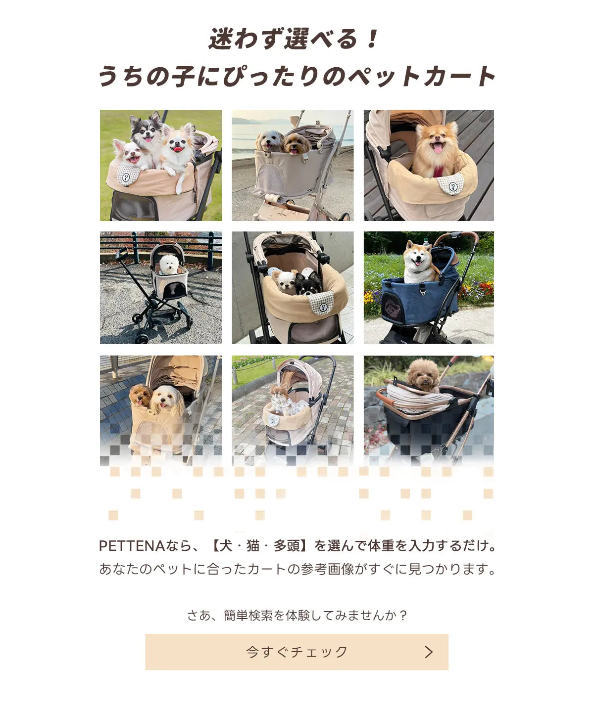 PETTENAペットカートで犬と出かける写真集-ギャラリー