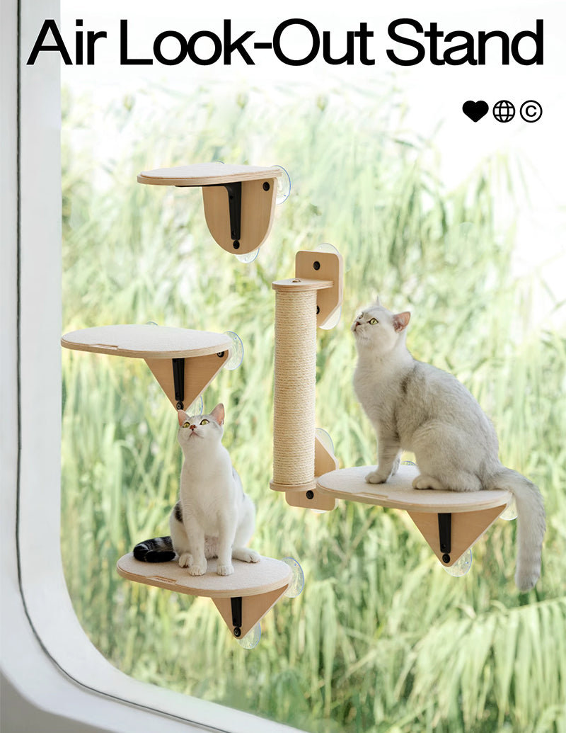 Amazon | POOKIE 猫 窓 ベッド キャット ステップ 爪とぎ 窓