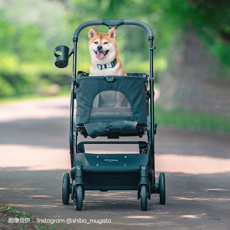 ワンタッチ折りたたみペットカート MILOU｜多頭飼い対応・小型〜中型犬