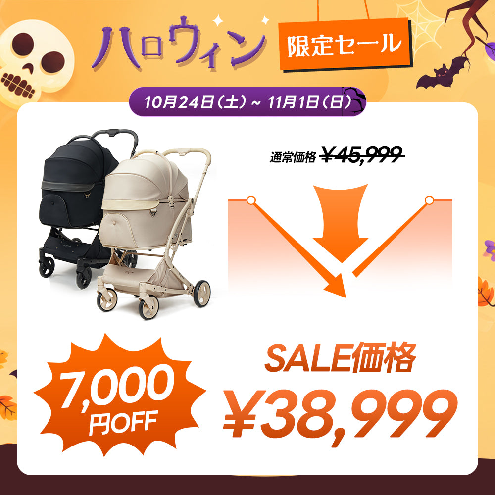 【新色登場】澄空ブルー 最上級型番 - PETTENA MILOU