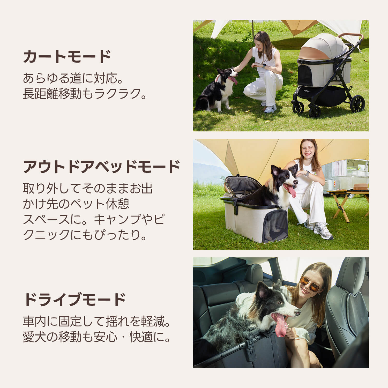 PETTENA 中型犬や多頭飼い用折りたたみ式軽量ペットカート TERRAの3way仕様-カート、キャリー、ドライボックスとして移動、休み、車載などのシーンで活躍している様子