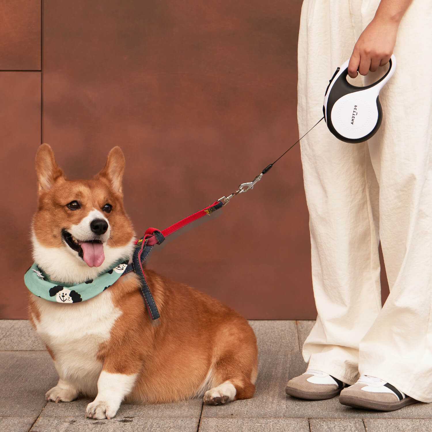 多機能犬用リード