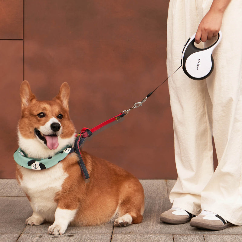 犬用リード