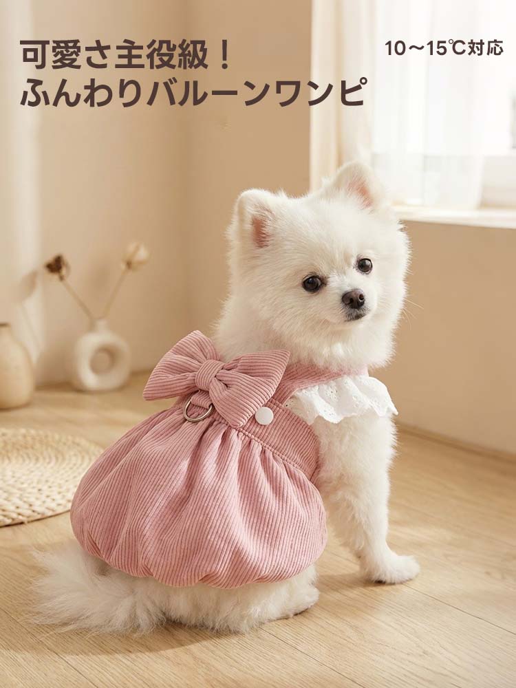 10〜15℃の気温に対応した保温性の高い中厚手コーデュロイ素材の犬服。お散歩に便利なDカン付きで、裏地付きのふんわりバルーン型スカートが愛犬を優しく包み込み、春先や秋口の肌寒い季節のお出かけでも可愛く快適に過ごせる一着。