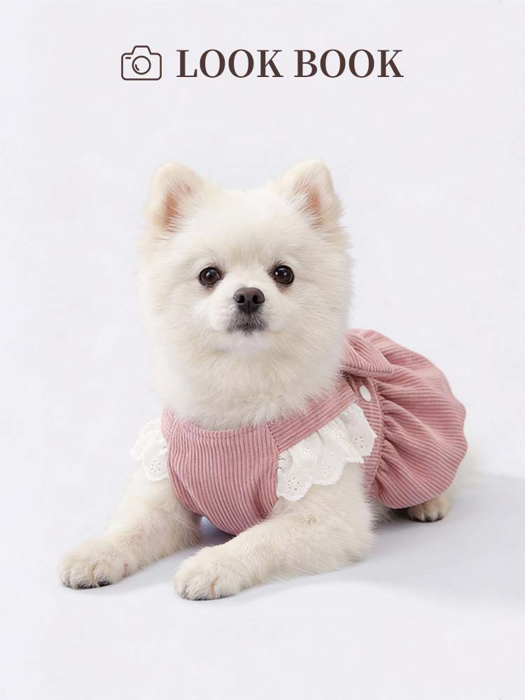 着用時の可愛さを追求したPETTENAのモデルカット。小型犬がリラックスして着用できるバルーンワンピの快適さと、360度どこから見ても「主役級」の華やかさを表現。愛犬との日常をおしゃれに彩るカタログ風のスタイル提案。