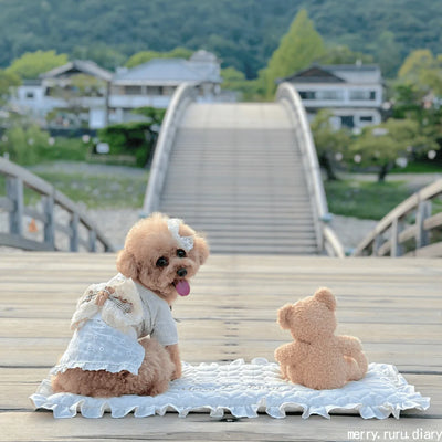 犬と行けるスポット