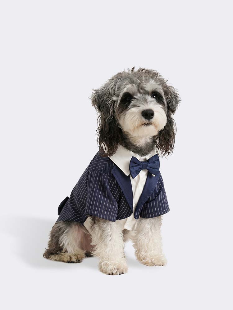 立体的なカッティングを施した、体にフィットしやすい犬用タキシードです。上質なコットン素材の質感により型崩れしにくく、背面の蝶ネクタイがアクセントとなり、愛犬の立ち姿をより凛々しく、端正に整える効果があります。