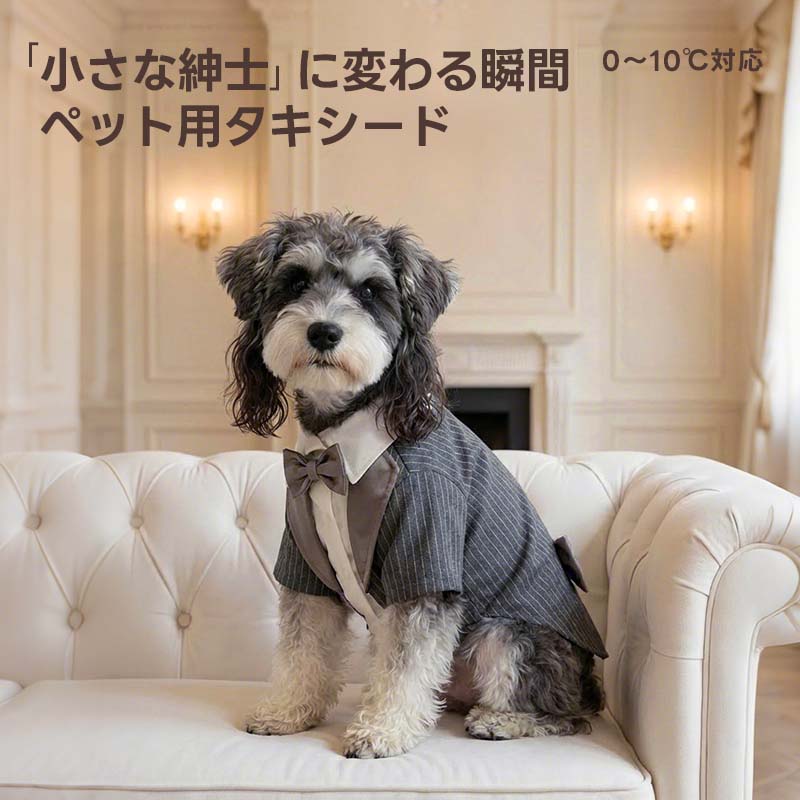 PETTENAのストライプ柄犬用タキシード。神フィットと呼ばれる独自の裁断により、着用時の美シルエットを実現しています。高級感のあるサテン襟が特徴で、お揃いコーデを楽しめるハンサムなルックの高品質なペット用スーツ。