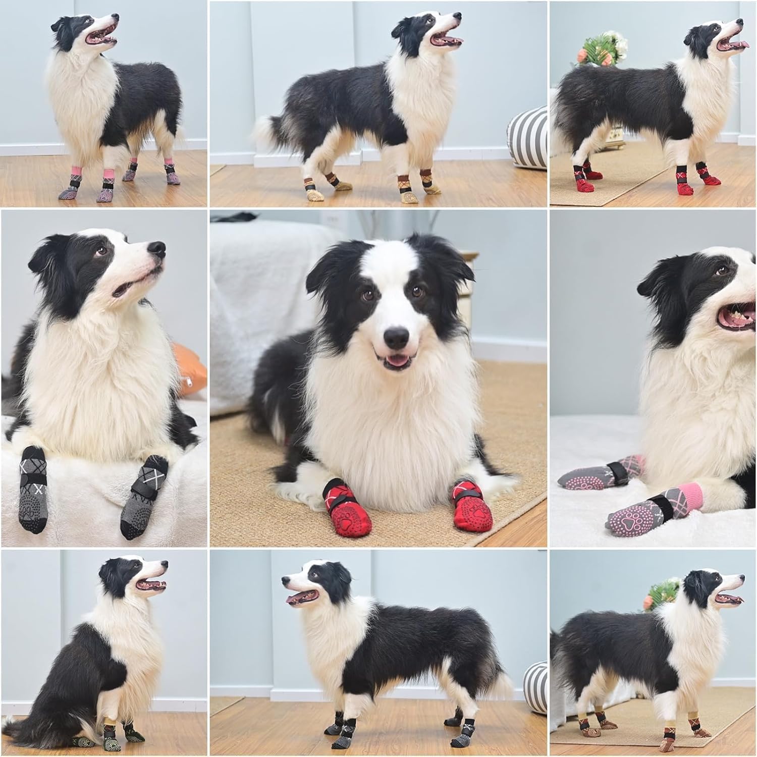 PETTENA Select ペット用滑り止め靴下（4足組）