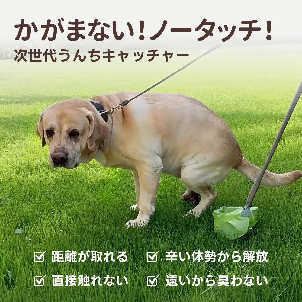 ［新作登場］冬のお出かけ準備！犬散歩用のフンキャッチャー