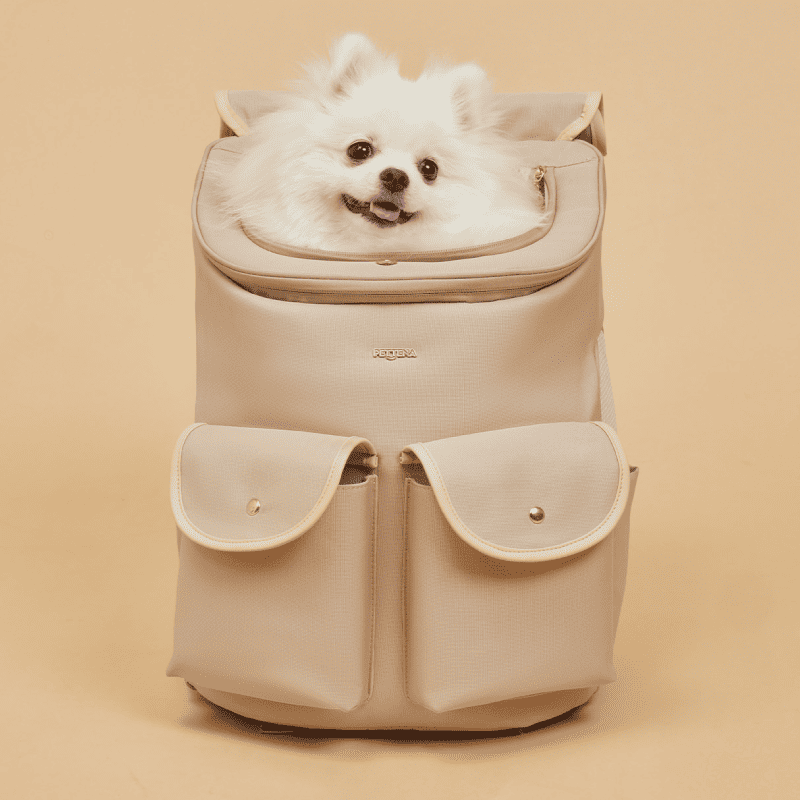  PETTENAのHIYORIペットリュック（ベージュ）と、中から顔を出すポメラニアン。ペットが喜んで入る、快適さと安心感のあるデザインです。