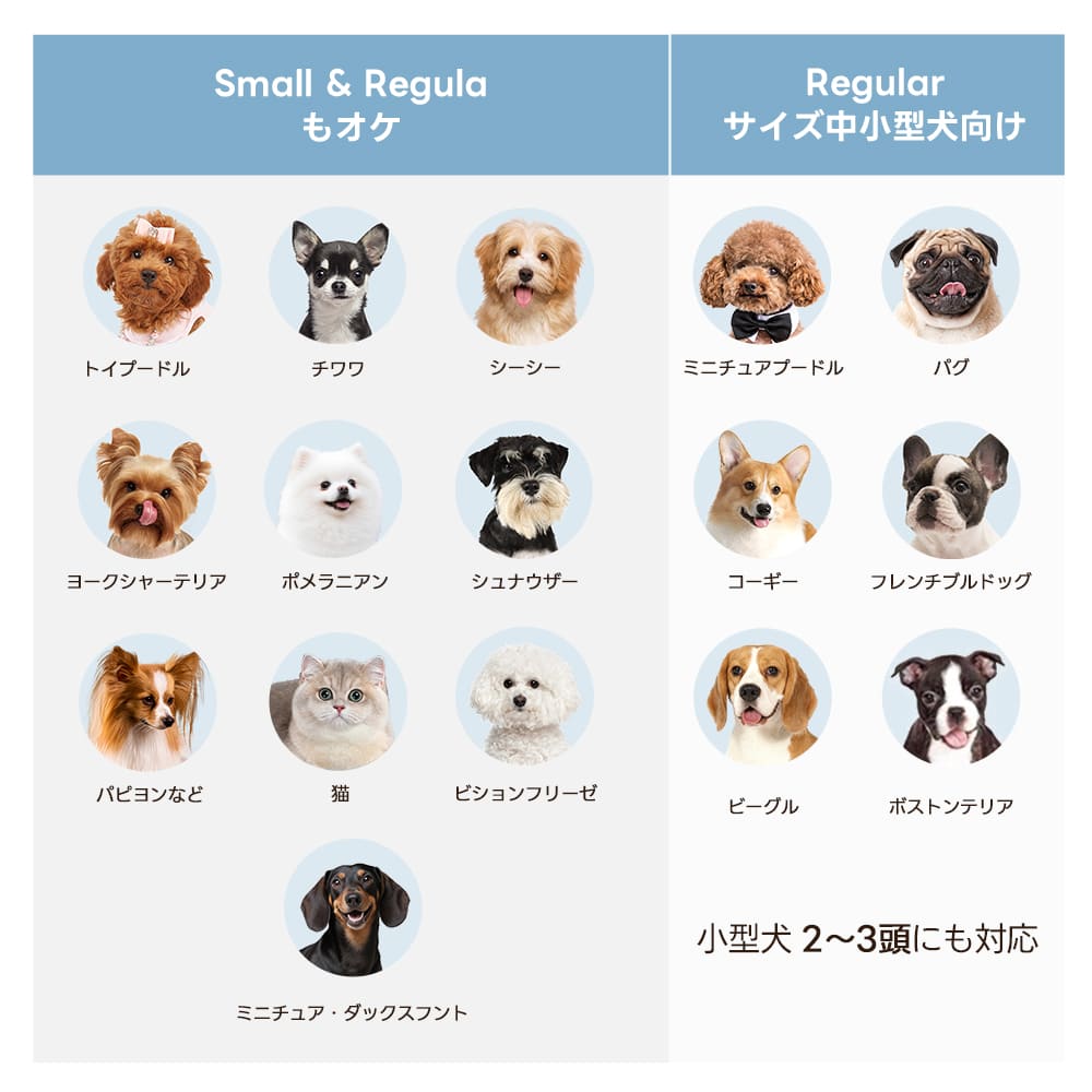 【新色登場】澄空ブルー 最上級型番 - PETTENA MILOU