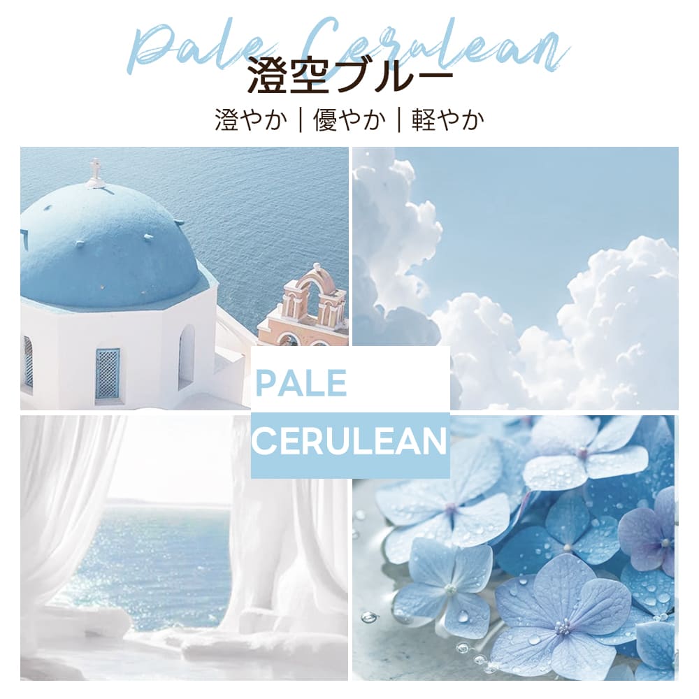 【新色登場】澄空ブルー 最上級型番 - PETTENA MILOU