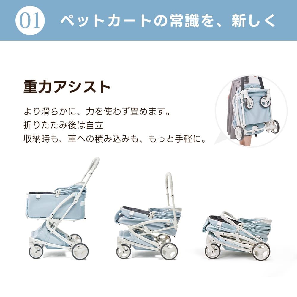 【新色登場】澄空ブルー 最上級型番 - PETTENA MILOU