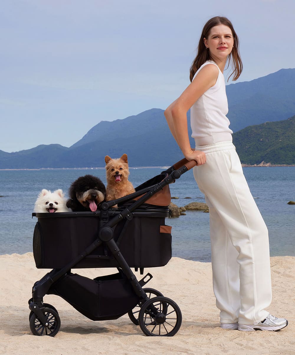 軽量・コンパクト折りたたみペットカート｜小型犬・猫用