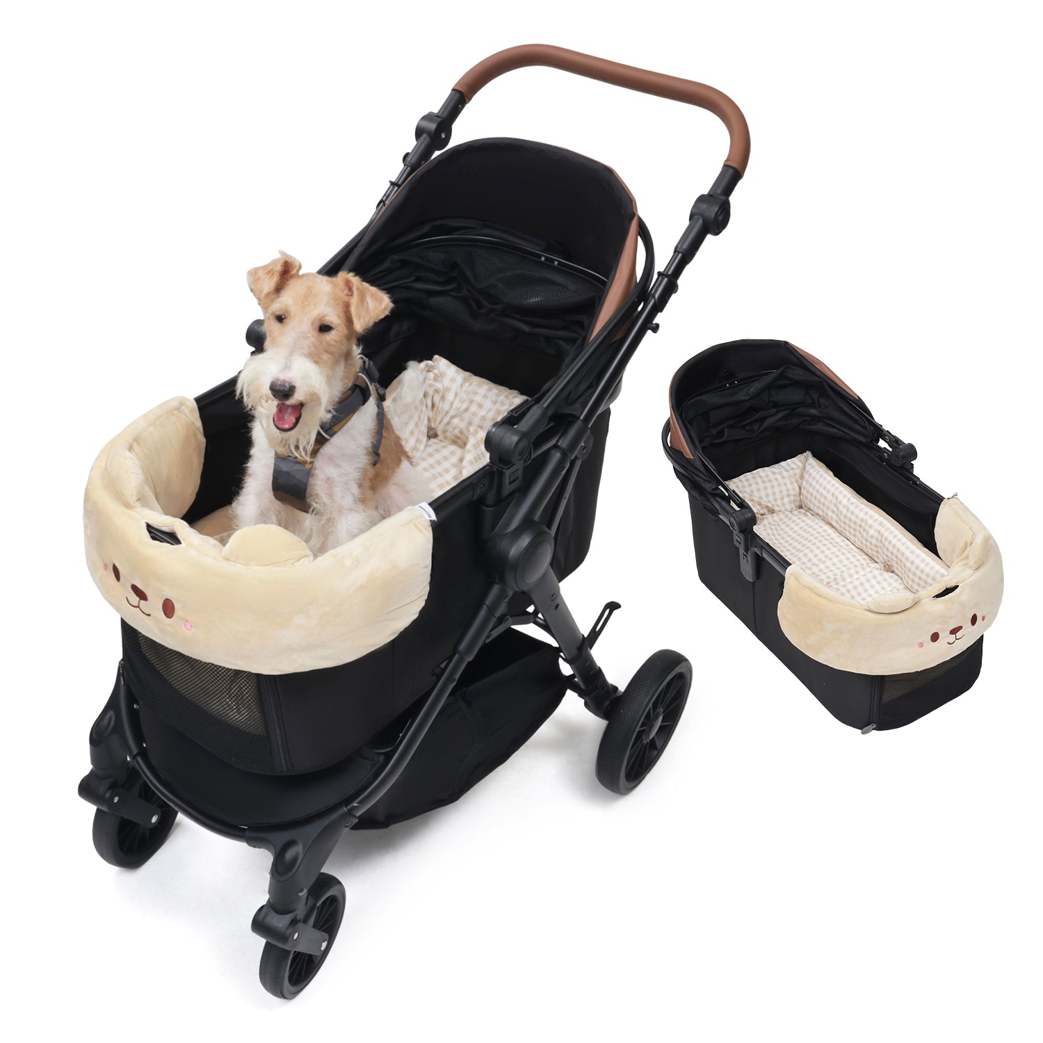 TERRA[シティモデル]  ブラック + かわいいクマクッション2点セット