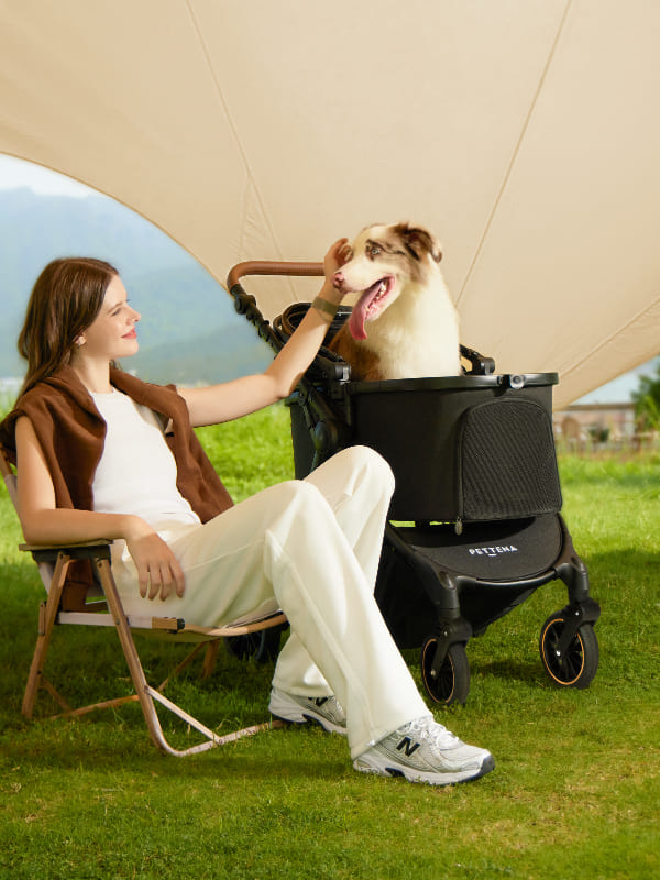 軽量・コンパクト折りたたみペットカート｜小型犬・猫用｜PETTENA(ぺ