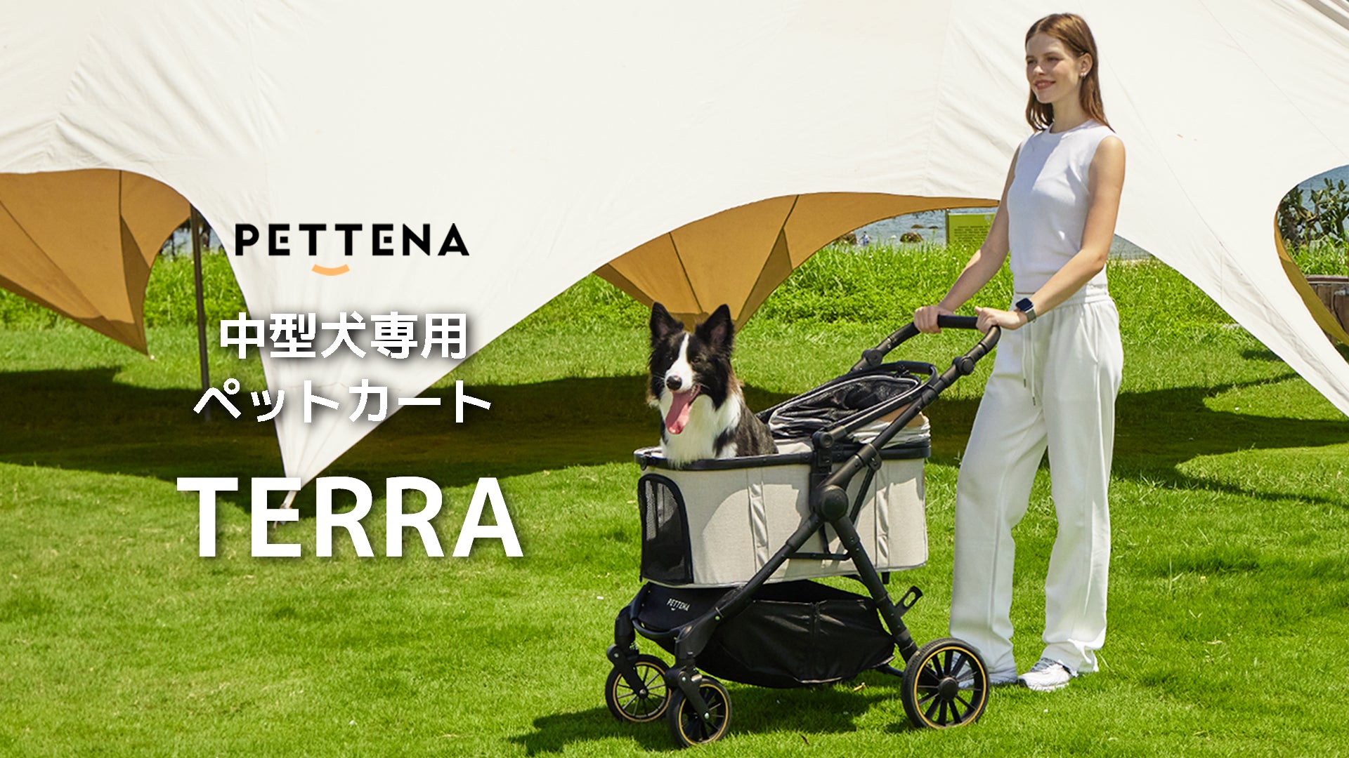 PETTENA 中型犬や多頭飼い用折りたたみ式分離型ペットカート TERRAの動画