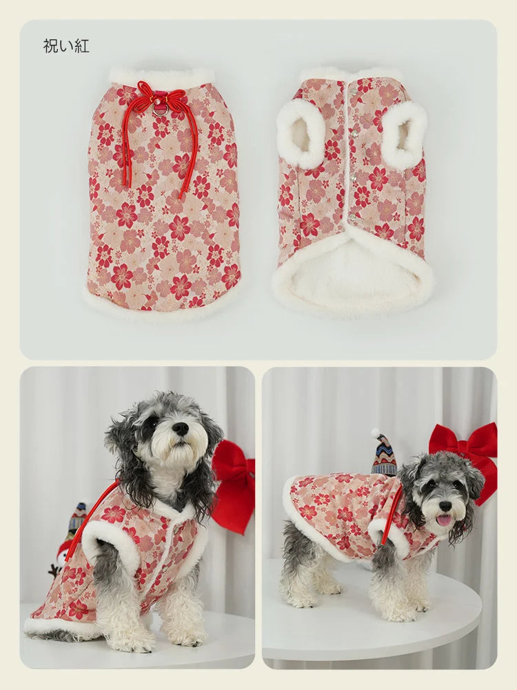 鮮やかな赤の桜柄が目を引く「祝い紅」カラーのぬくもりファーベスト。首元の赤いリボンと真っ白なファーの対比が、お正月や誕生日の主役にふさわしい華やかさです。