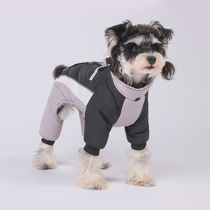 ブラックのペット犬服ぬくぬくアウターのローズ着用例。足首のリブが風の侵入を防ぎ、立ち姿からもわかるスリムなシルエットで動きやすさと保温性を両立しました。