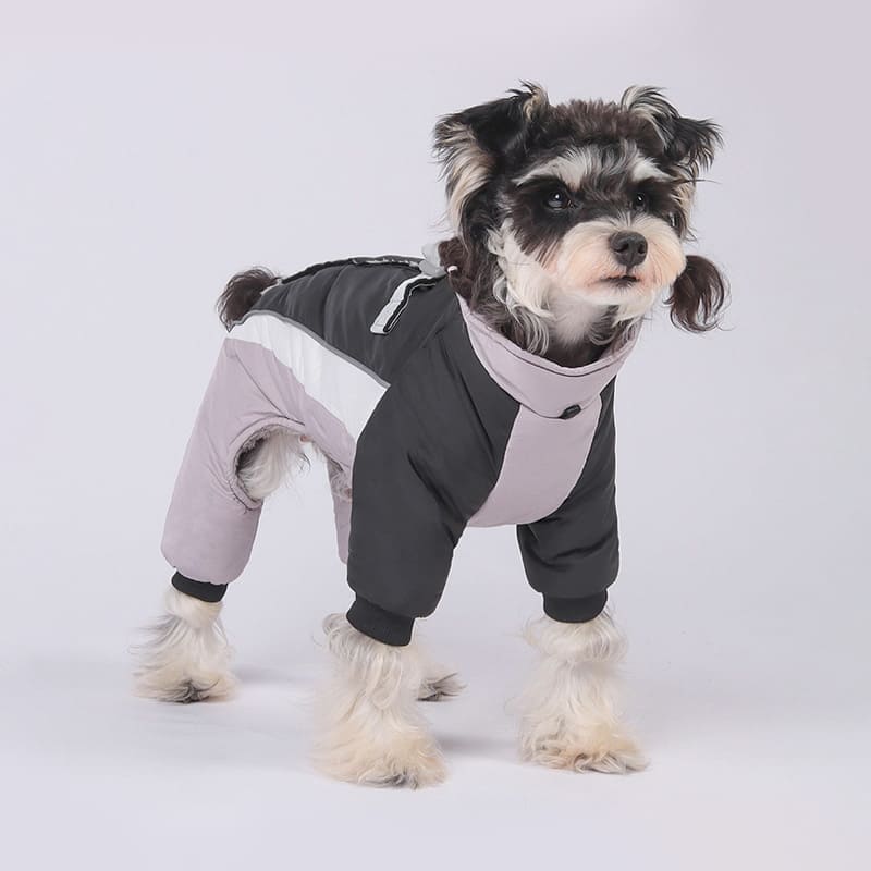 ブラックのペット犬服ぬくぬくアウターのローズ着用例。足首のリブが風の侵入を防ぎ、立ち姿からもわかるスリムなシルエットで動きやすさと保温性を両立しました。