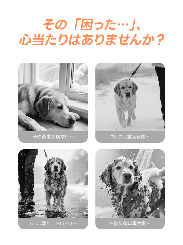 凍える寒さでの震えや雨天時の泥汚れ、散歩後のシャンプーの重労働など、飼い主が抱える「困った」悩みを解決する犬用ウェア導入のビフォーイメージ。