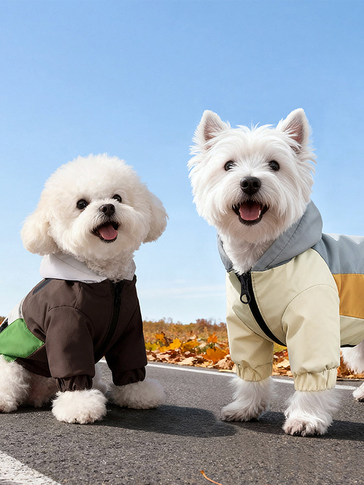 青空の下、道路に並ぶ2匹の白い犬。左はグレーとグリーン、右はスモーキーブルーとイエローの配色違いの裏起毛ジャケットを着用した秋の散歩風景です。