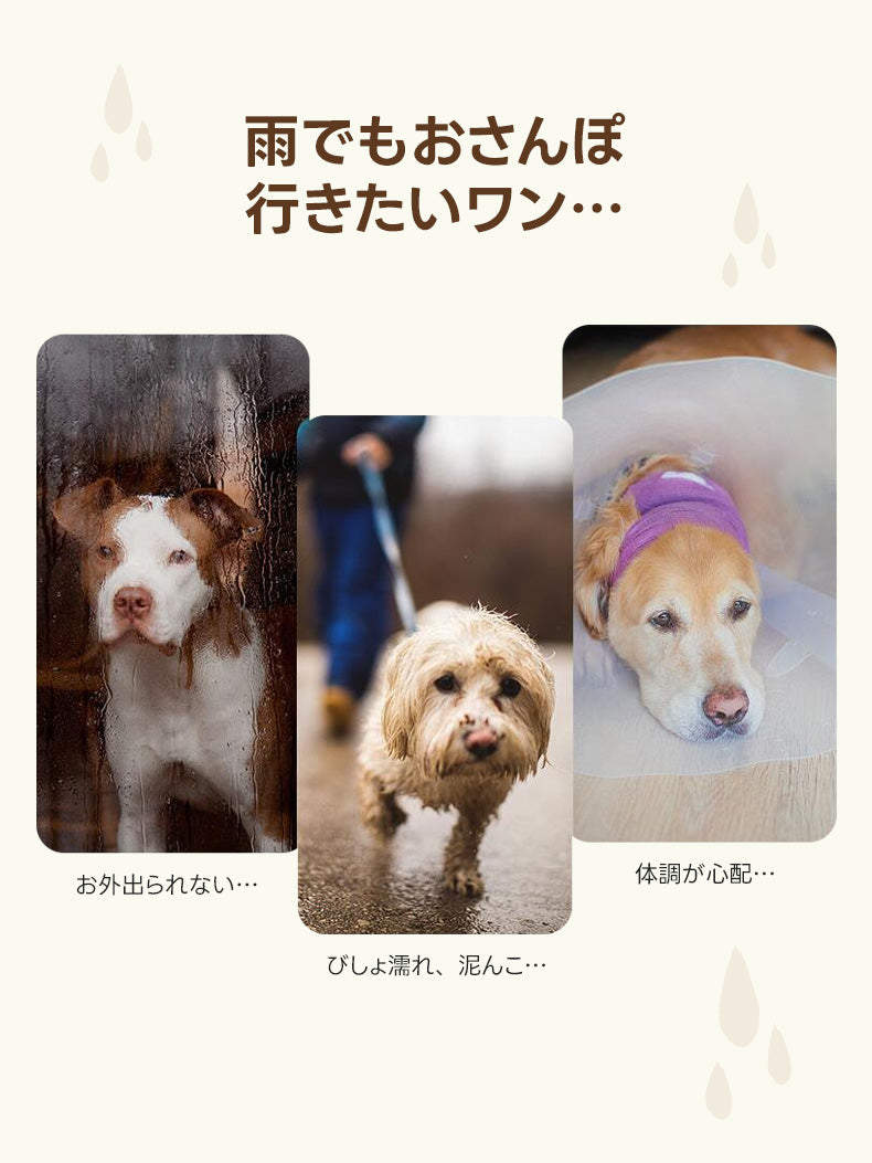 「雨でもお散歩に行きたい」という愛犬と飼い主の願い。泥はねや体調不良の不安を解消し、快適な外出を実現するために全身防水レインコートが役立ちます。