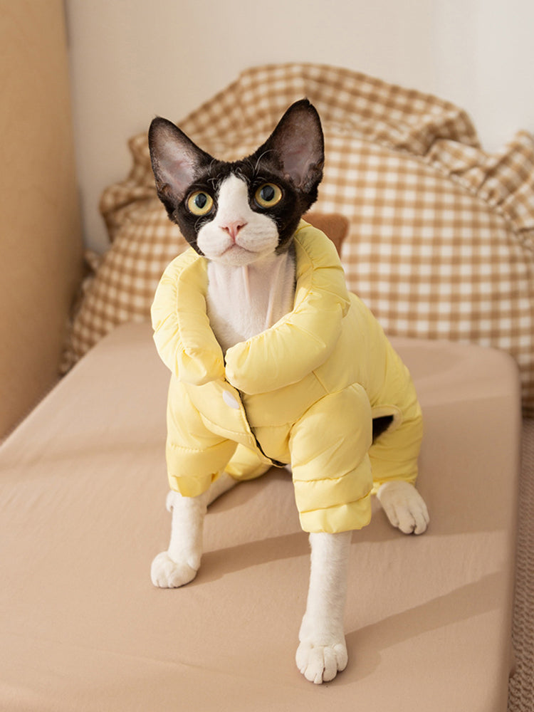 寒がりな猫ちゃんも暖かく過ごせる犬猫兼用の防寒つなぎ。お腹から足先までしっかり包み込み、冬の冷えからペットを守ります。