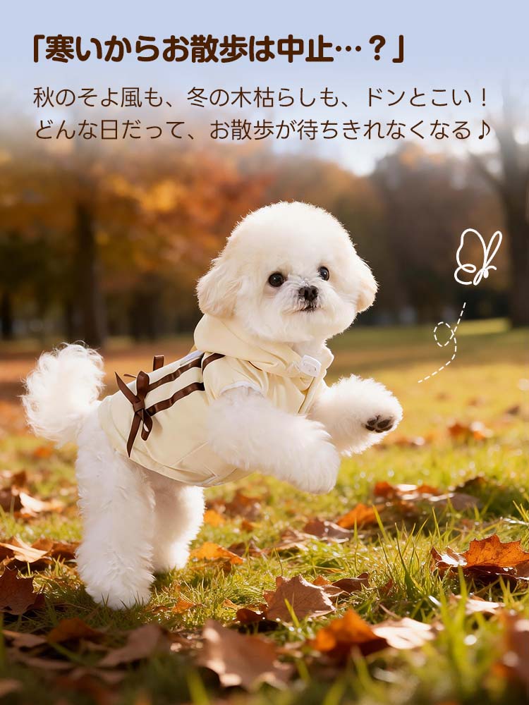  寒い季節の屋外でも暖かく過ごせるリボン付きドッグウェア。秋の公園でのお散歩風景で、防寒性と可愛らしさを兼ねた着用イメージ。