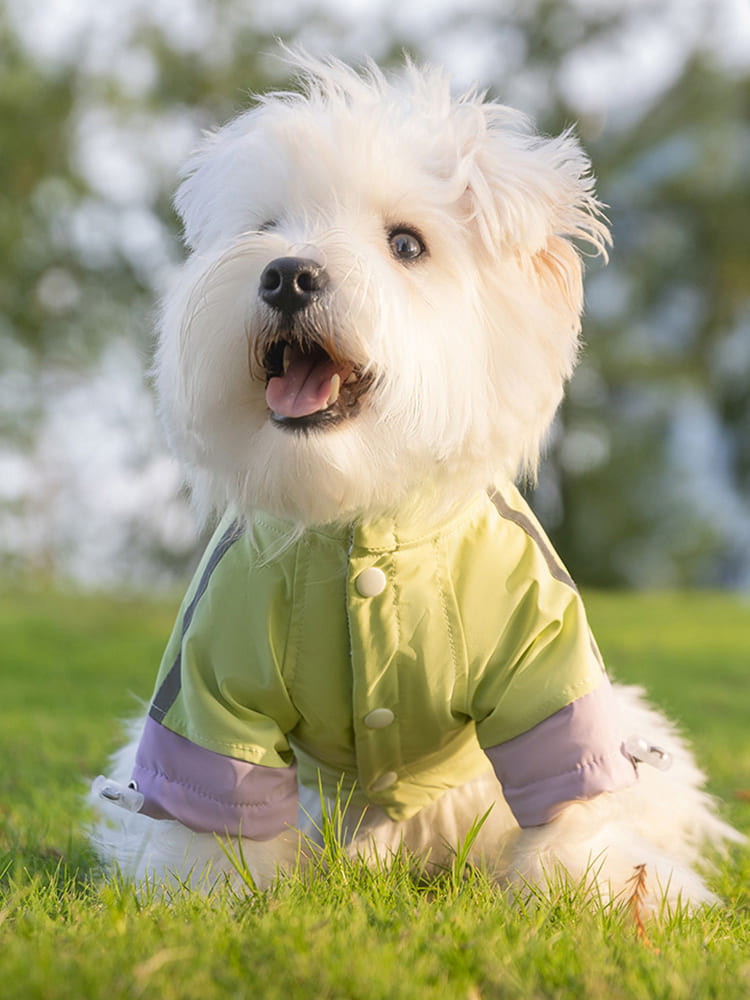 PETTENA Select ペット服 アウトドアジャケット 三重防水