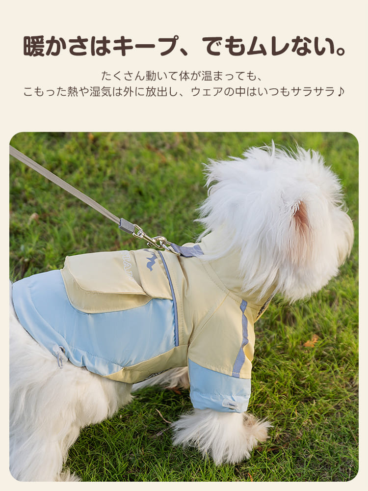 蒸れないアウトドアジャケット着用の散歩風景。熱をこもらせない透湿機能で、愛犬の動きを妨げない快適なデザイン。