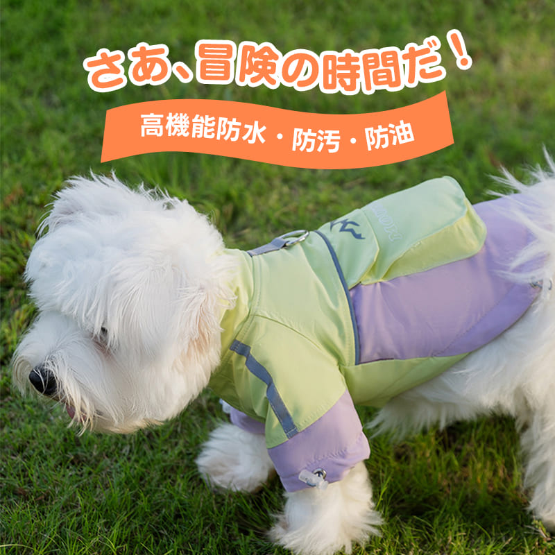 犬猫両用アウトドアジャケットの着用イメージ。緑と紫の配色で、冒険にも耐える防水防汚機能を備えた散歩姿