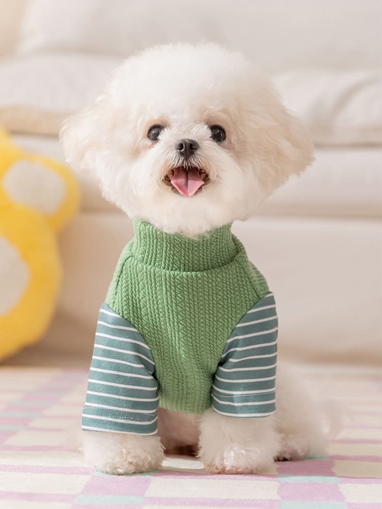 首元までしっかりカバーするハイネック仕様で寒さを防ぎ、伸縮性のある素材が前足の動きを妨げない、冬に最適なグリーンのインナー