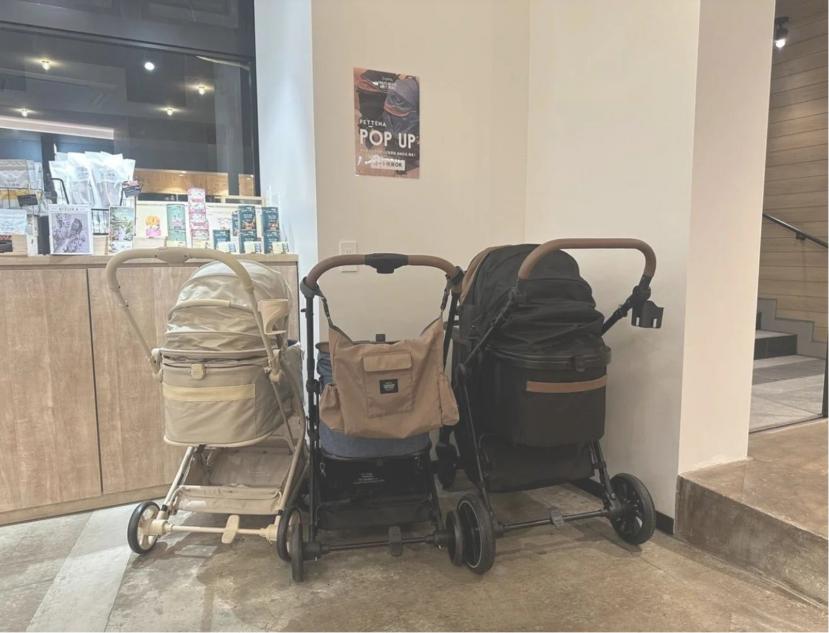 Experience PETTENA products in store
