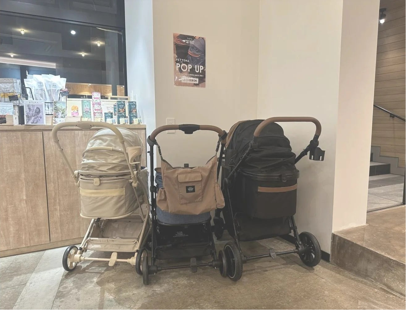 Experience PETTENA products in store