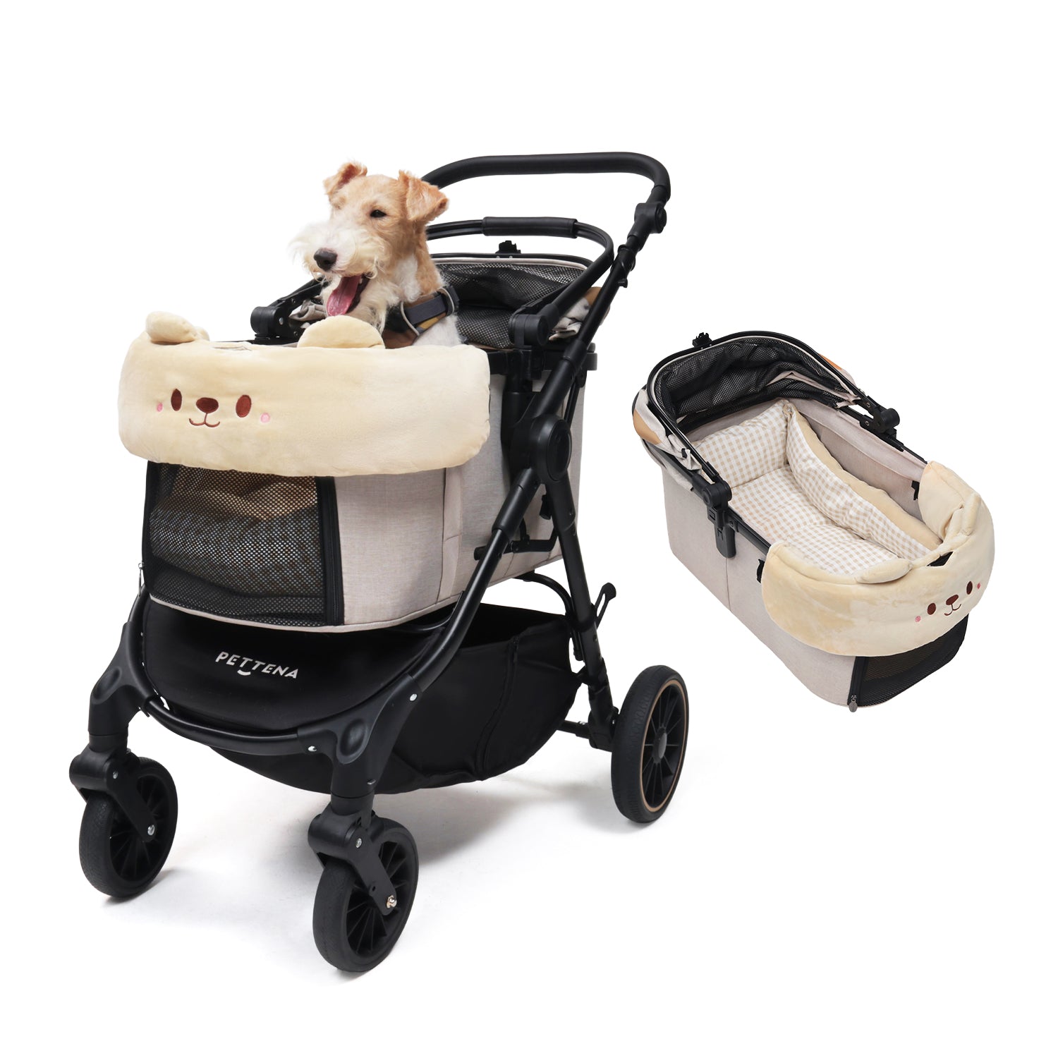 TERRA[アウトドアモデル] ベージュ + かわいいクマクッション2点セット