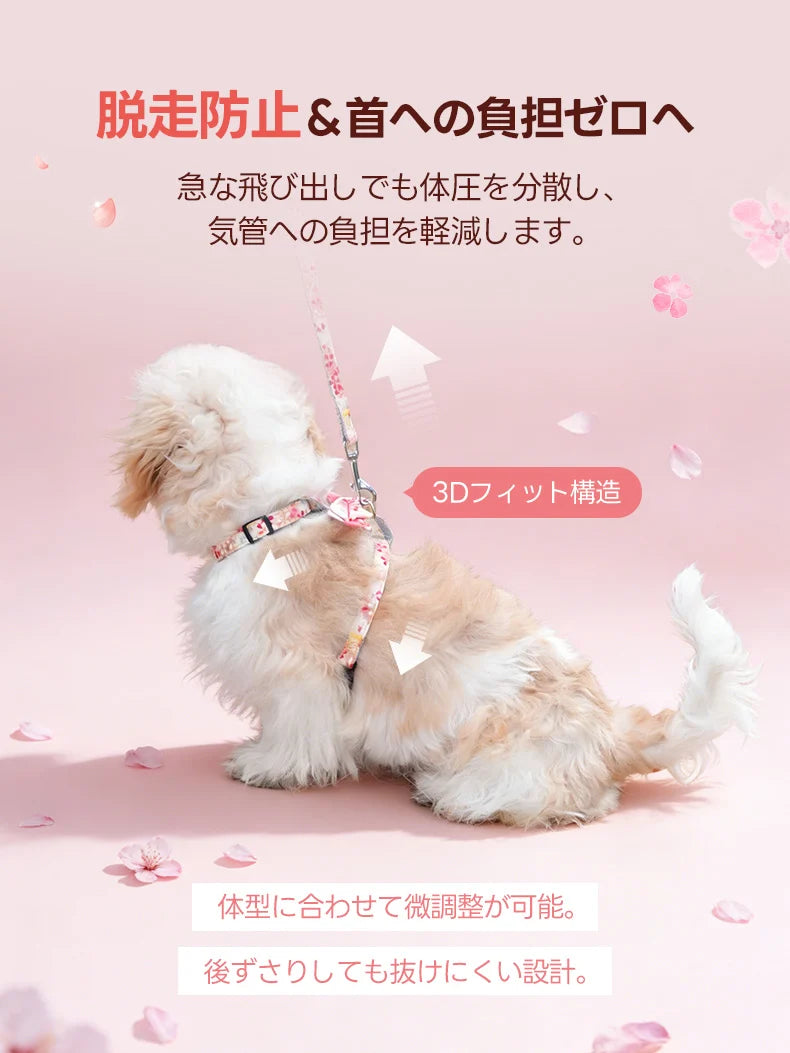 急な飛び出しでも体圧を分散させる3Dフィット構造。首への負担をゼロへ近づけ、後ずさりしても抜けにくい設計で脱走を防止する。体型に合わせた微調整が可能で、気管が弱い小型犬でも安心して毎日のお散歩を楽しめる。